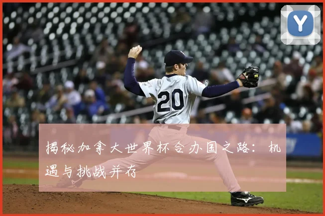 揭秘加拿大世界杯合办国之路:机遇与挑战并存