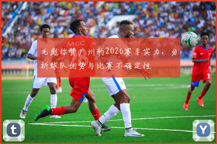 毛彪称赞广州豹2026赛季实力，分析球队优势与比赛不确定性